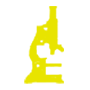 Evidências Online – Estudos em Criacionismo