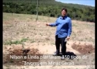 Sobrevivendo à crise final: APRESENTAÇÃO PLANTIO M