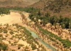 Ancient Egyptians - The Battle Of Megiddo 